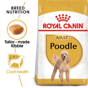 Royal canin cavalier online king charles puppy