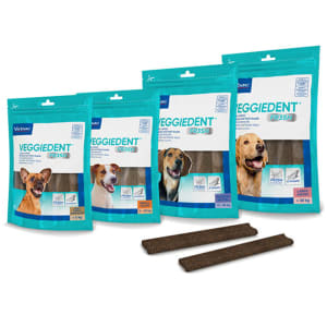 Eukanuba Veterinary Diets Dermatosis Pet Supermarket