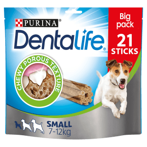 Dentalife extra small outlet