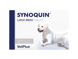 Aktivait large dog outlet
