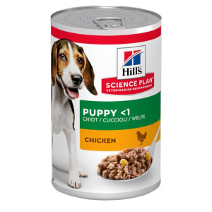 Seraquin 2g for hot sale dogs best price