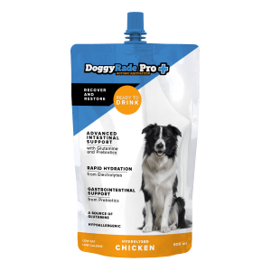 Cheapest online pet store shop
