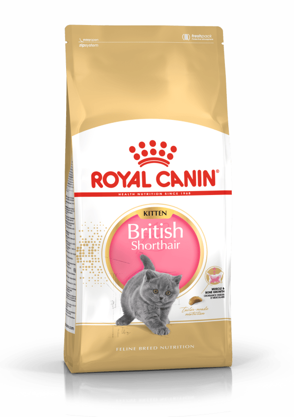 Royal Canin British Shorthair Kitten Cat Dry Food 10kg