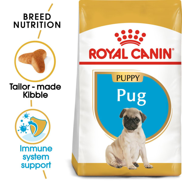 Royal canin pug dry shop dog food