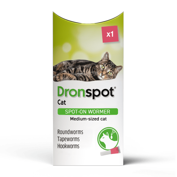 Droncit spot on cat wormer clearance