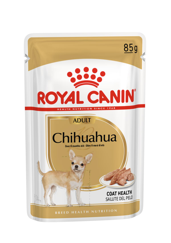 Royal Canin Chihuahua Adult Dog Wet Pet Supermarket