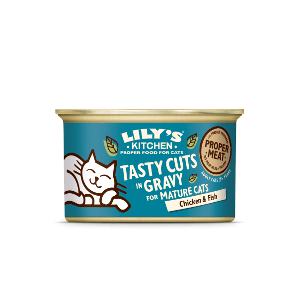 Lily's kitchen senior wet dog food clearance