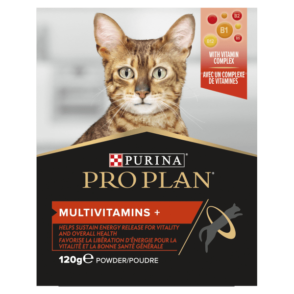 Purina pro discount plan savor senior