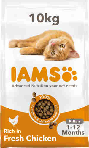 IAMS Kitten & Junior