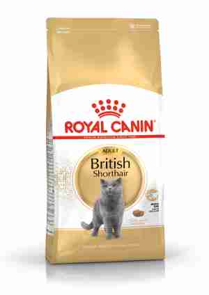 Royal Canin British Shorthair 34