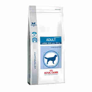 Royal Canin Adult Large Dog Dry Food