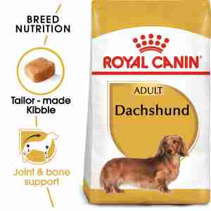 Royal Canin Dachshund Adult