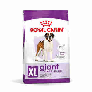 Royal Canin Giant Adult