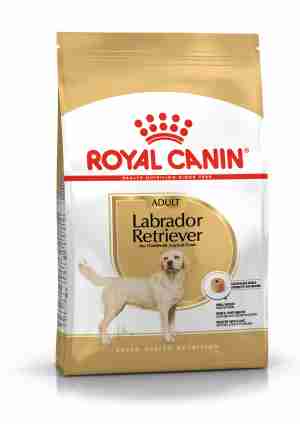 Royal Canin Labrador Retriever Dry Adult Dog Food