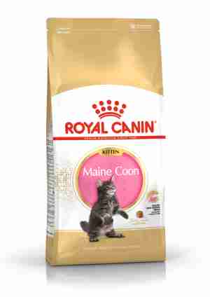 Royal Canin Maine Coon Kitten Dry Food