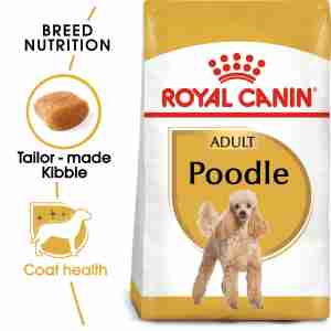Royal Canin Poodle Dry Adult Dog Food