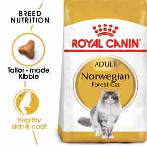 Royal Canin Norwegian Forest Cat