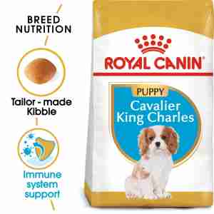 Royal Canin Cavalier King Charles Junior