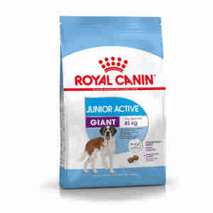 Royal Canin Giant Junior Active Dry Food