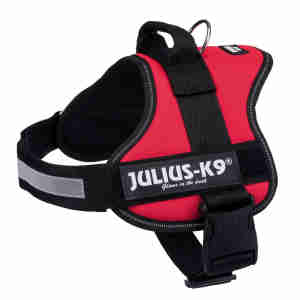 Julius-K9® Powerharness in Red