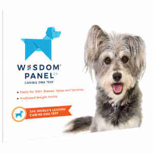 Wisdom Panel 2.0 Dog DNA test