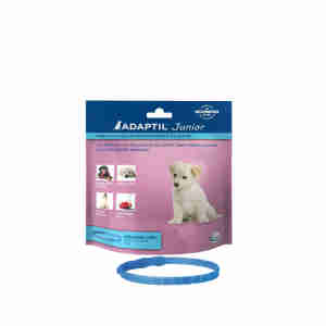 Adaptil Junior Collar
