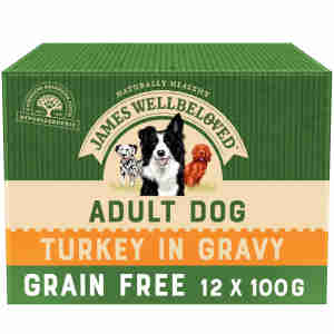 James Wellbeloved Grain Free Adult Turkey Wet Dog Food Pouch