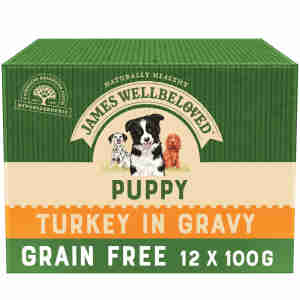 James Wellbeloved Grain Free Puppy Turkey Wet Food Pouch