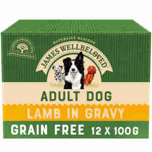 James Wellbeloved Grain Free Adult Lamb Wet Dog Food Pouch