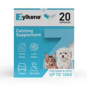 Zylkene for Dogs & Cats