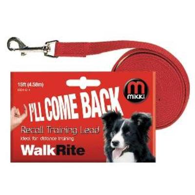 mikki training lead