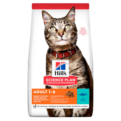 hills dd cat