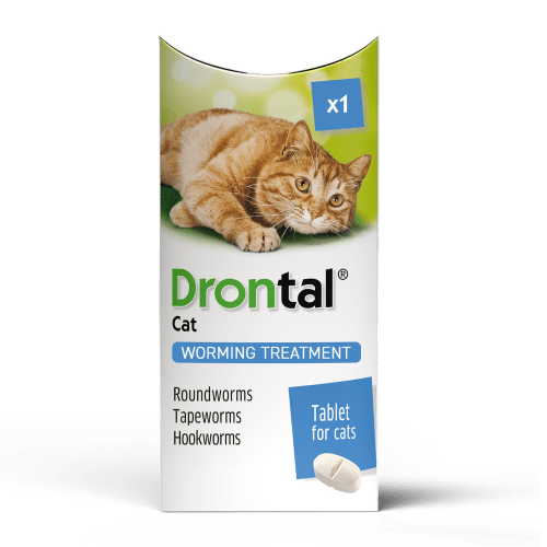 drontal cat bayer