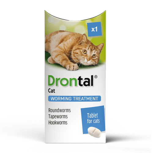 Droncit Dosage For Cats