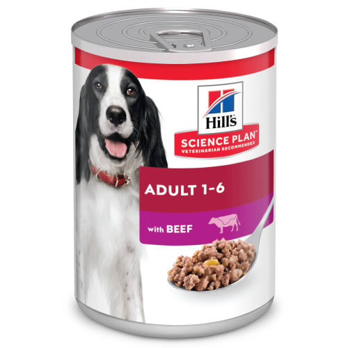 science plan dog food