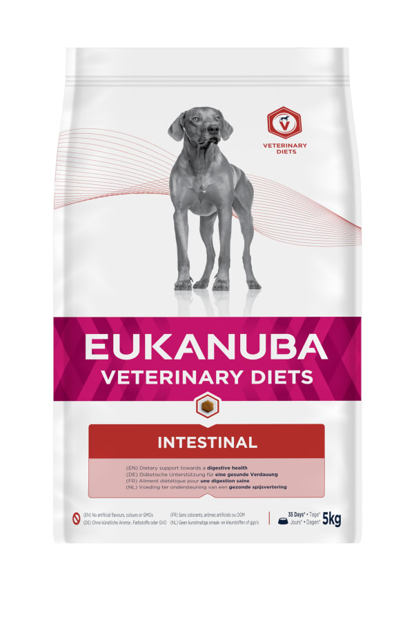 Image of Eukanuba Veterinary Diets Intestinal Dry Dog Food, 5kg