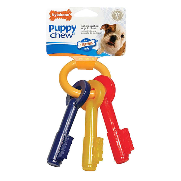 Image of Nylabone Puppy Teething Keys, Small