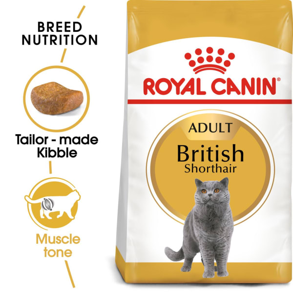 Image of Royal Canin British Shorthair Adult Dry Cat Food, 12 x 85g - Gravy