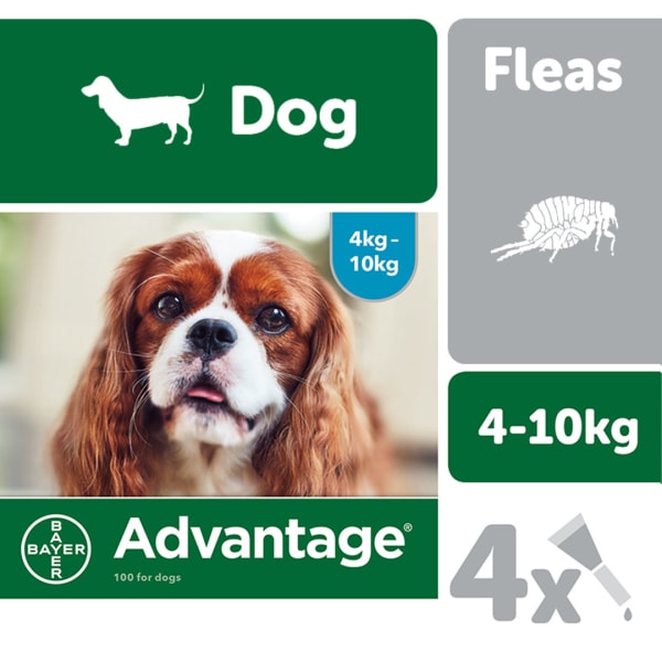 Image of Advantage 100 Spot On Dog Flea Treatment for Dogs, 4 Pipettes
