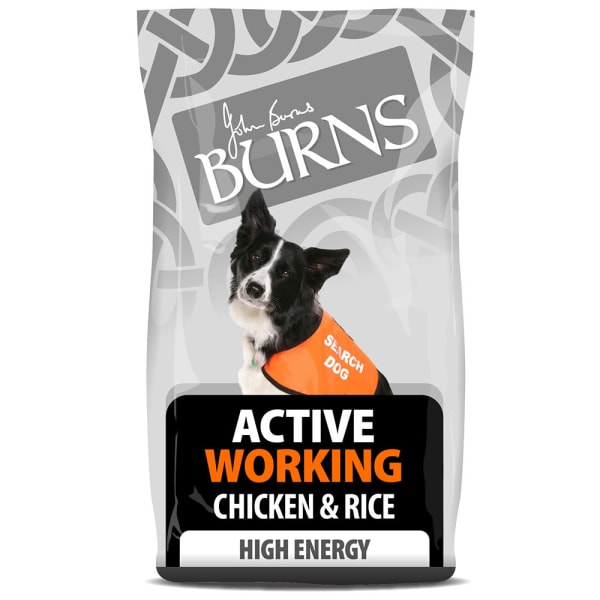 Image of Burns Active Adult Dry Dog Food - Chicken & Rice, 12kg - Chicken & Rice