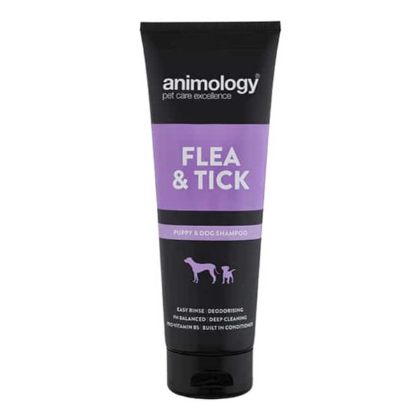 Image of Animology Flea & Tick Shampoo for Dogs, 250ml