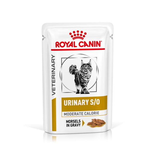 Image of Royal Canin Urinary Moderate Calorie Adult Cat Wet Food - Morsels in Gravy, 12 x 85g - Morsels in Gravy