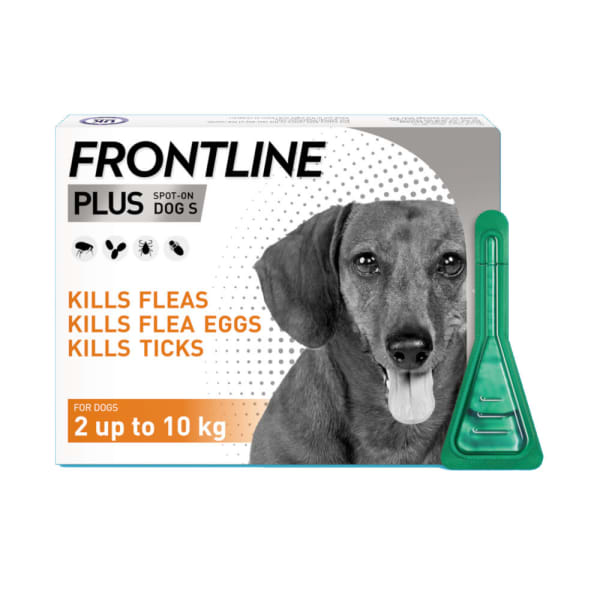 Image of Frontline Plus Small Dog (2-10kg) Pipettes, 6 Pipettes