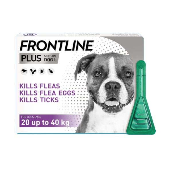 Image of Frontline Plus Large Dog (20-40kg) Pipettes, 6 Pipettes