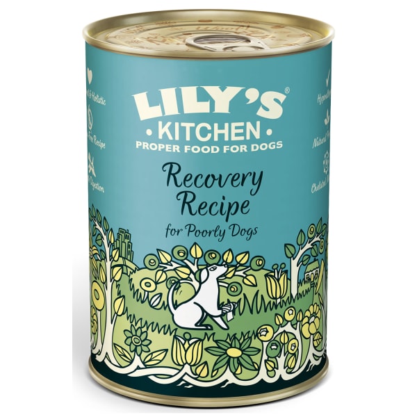 Image of Lily's Kitchen Recovery Recipe Wet Dog Food - Chicken, 6 x 400g - Chicken, Potatoes & Bananas
