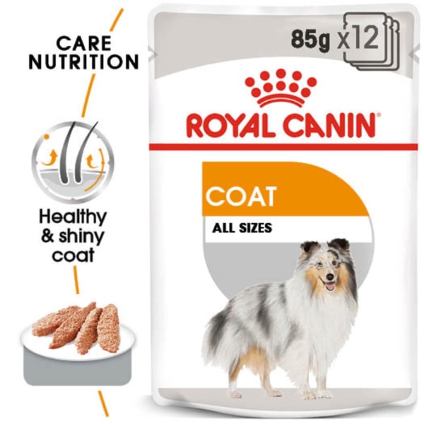 Image of Royal Canin Coat Care Adult Wet Dog Food, 12 x 85g Chicken & Beef