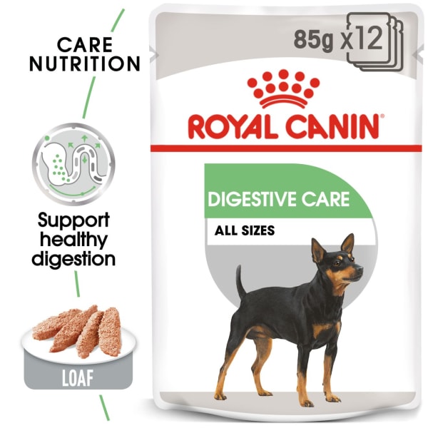 Image of Royal Canin Digestive Care Adult Wet Dog Food, 12 x 85g Chicken & Beef