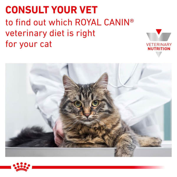 Image of Royal Canin Veterinary Diet Early Renal Adult Dry Cat Food, 6kg