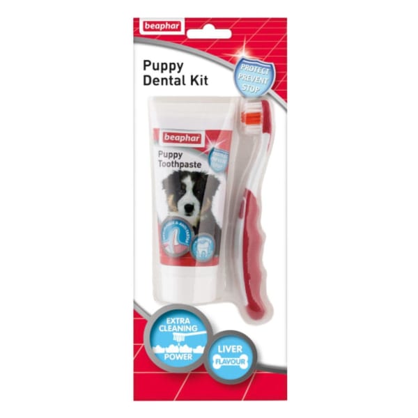 Image of Beaphar Puppy Dental Kit, 50g