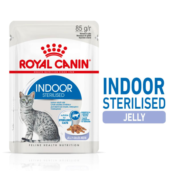 Image of Royal Canin Indoor Adult Sterilized Wet Cat Food - Jelly, 12 x 85g - Jelly